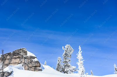 image to crop