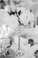 preview bw