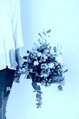 preview cold