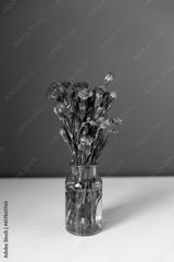 preview bw