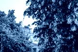 preview cold