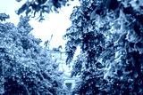 preview cold