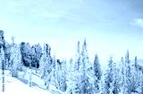 preview cold