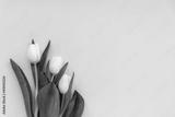 preview bw