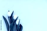 preview cold