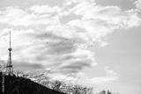 preview bw
