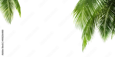 image to crop