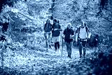 preview cold