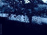 preview cold