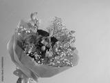 preview bw