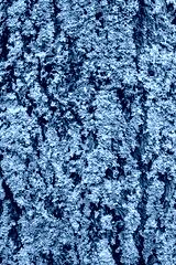preview cold