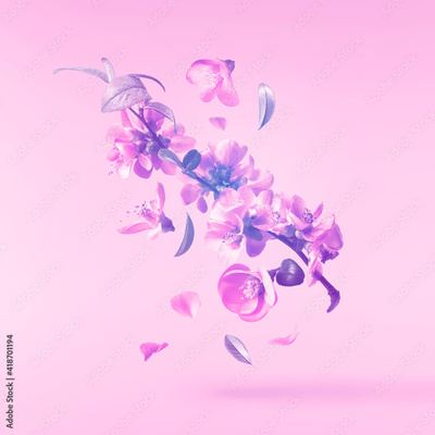 image to crop