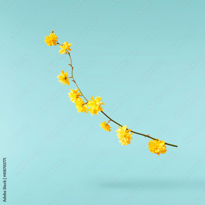 image to crop