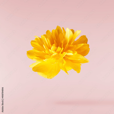 image to crop