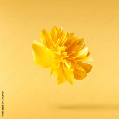 image to crop