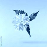preview cold