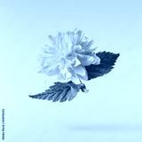 preview cold