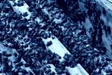 preview cold