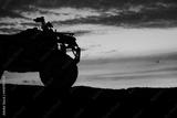 preview bw