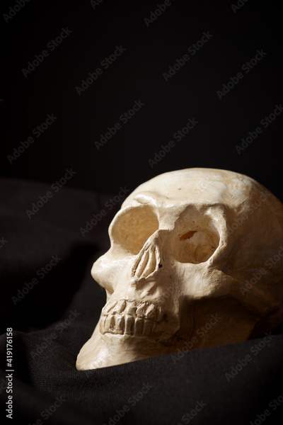 image to crop