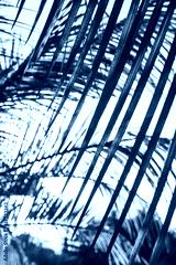 preview cold