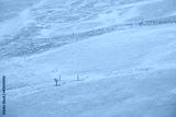 preview cold