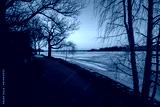 preview cold