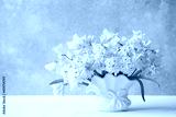 preview cold
