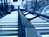 preview cold