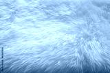 preview cold