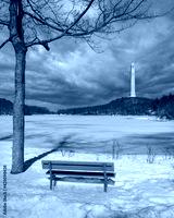 preview cold