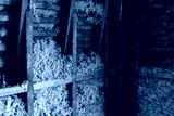 preview cold