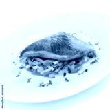 preview cold