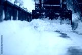 preview cold