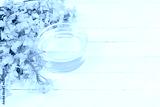 preview cold