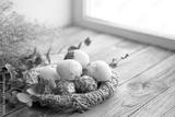preview bw