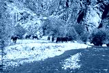 preview cold