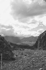 preview bw