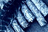 preview cold