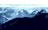 preview cold