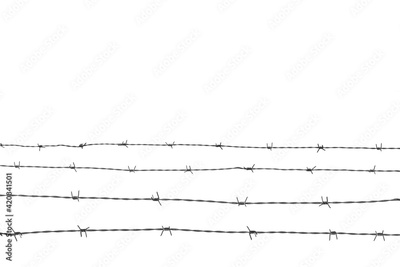 image to crop
