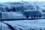 preview cold