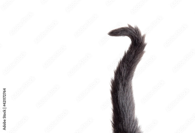 image to crop