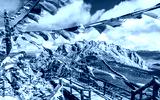 preview cold