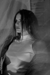 preview bw