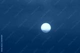 preview cold