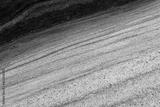 preview bw
