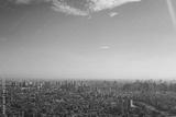 preview bw