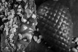 preview bw