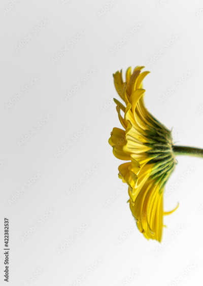 image to crop